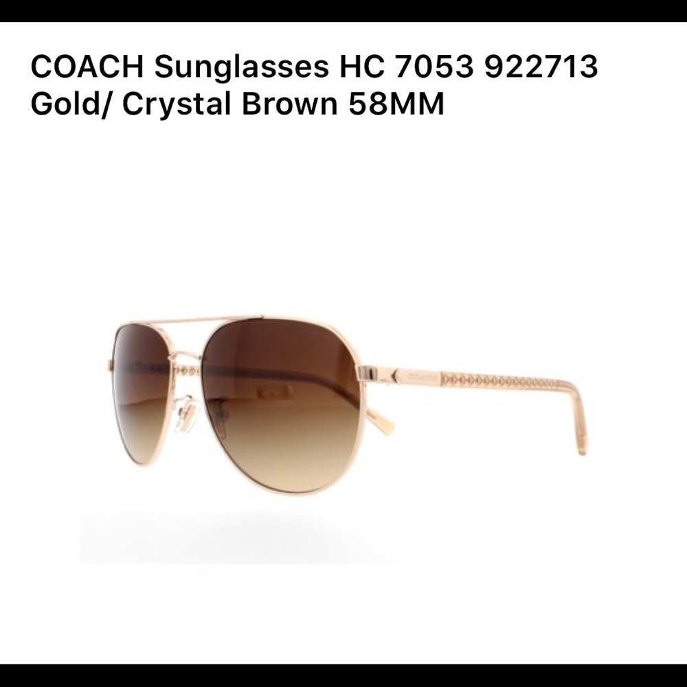 Coach Sunglasses HC 7053 L237